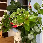Vojnuv Mestec Dum S Vuni Dreva Holiday home *