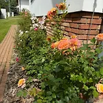 Vakantiehuis Vojnuv Mestec Dum S Vuni Dreva Žďár nad Sázavou