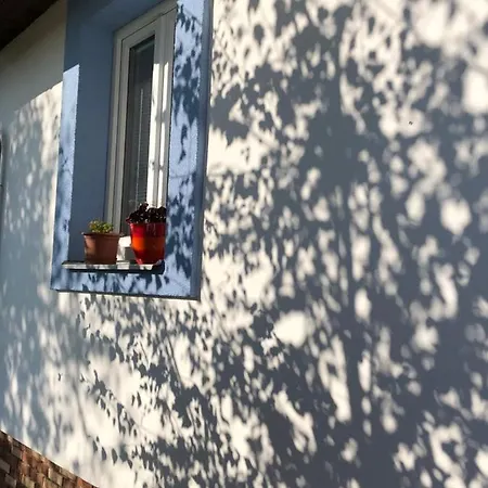 Vojnuv Mestec Dum S Vuni Dreva *