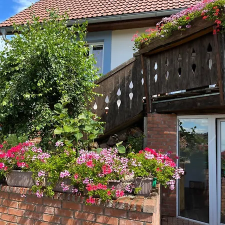 Vojnuv Mestec Dum S Vuni Dreva בית נופש Žďár nad Sázavou