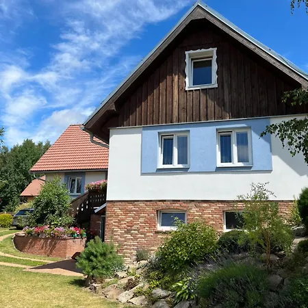 Vojnuv Mestec Dum S Vuni Dreva