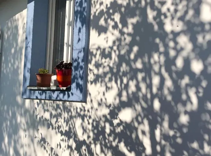Vojnuv Mestec Dum S Vuni Dreva *