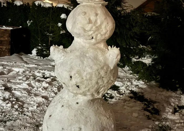 Semesterbostad Vojnuv Mestec Dum S Vuni Dreva *